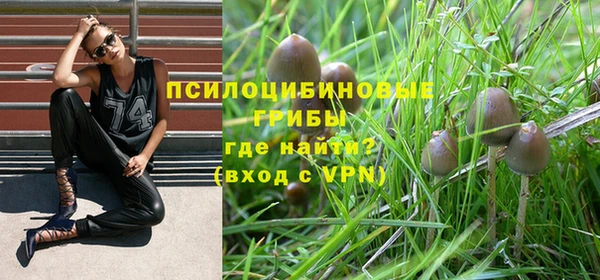 амф Бородино