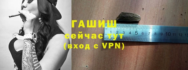 индика Богородицк