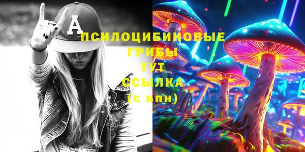 амф Бородино