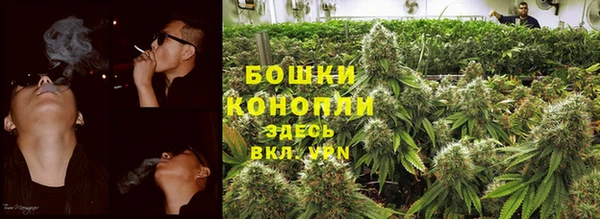 амф Бородино