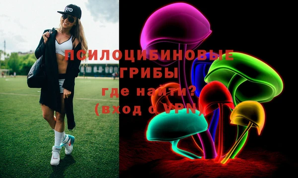 амф Бородино
