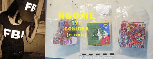 амф Бородино