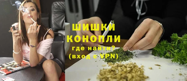 амф Бородино