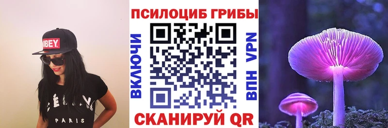 Псилоцибиновые грибы мицелий  дарнет шоп  Южа 